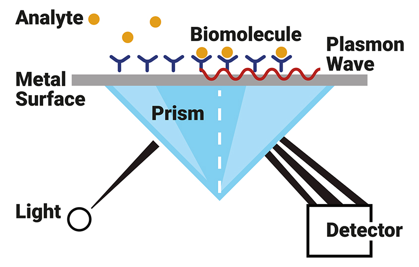 biomolecular analysis
