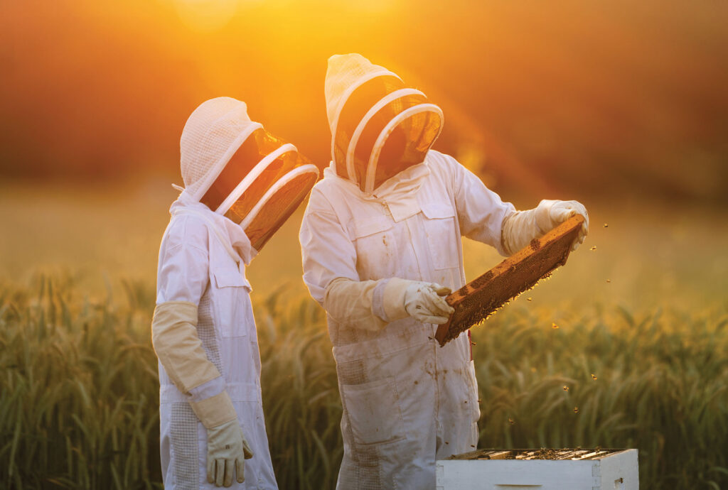 Two bee keepers with honeycomb