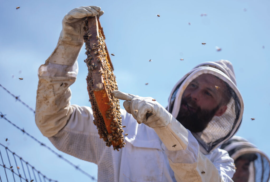 Bee keeper