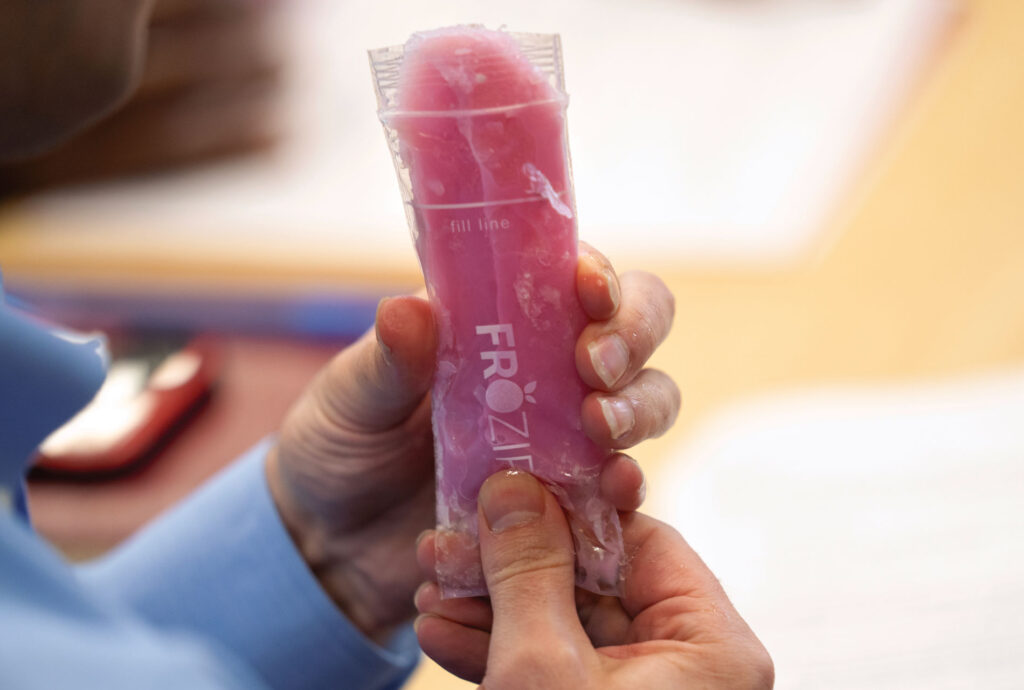 frozen fruit popsicle