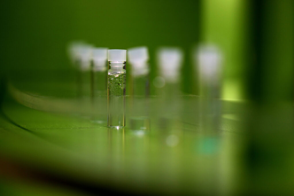 Close up of saliva vial on a green backdrop.