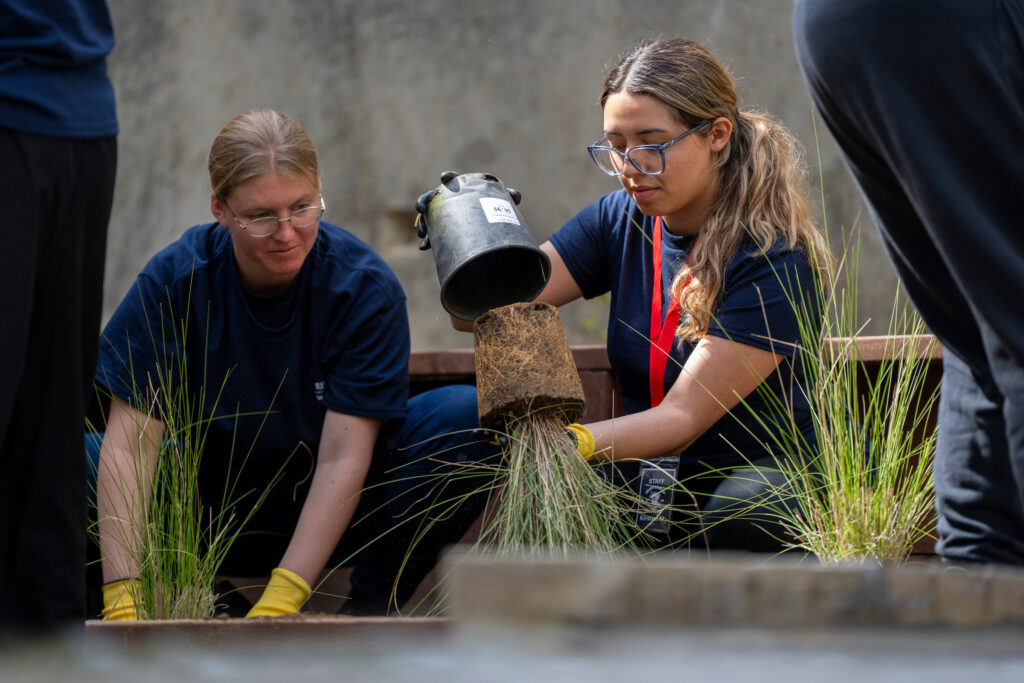 Students planting new vegetation at Peters Building Fountain