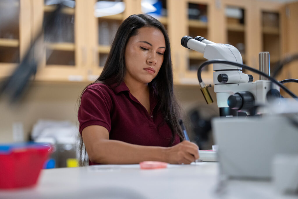 Fresno State alumna and vector biologist Jovana Benavides in the lab